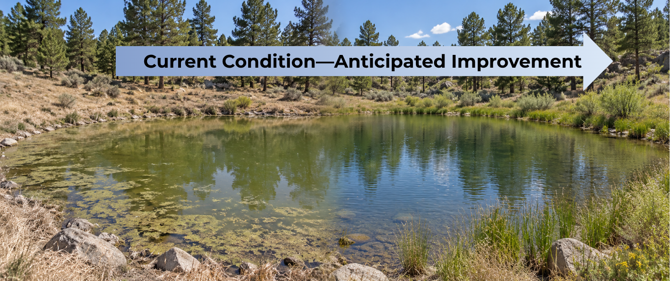 Conceptual view of the Arabian Acres pond transitioning from green, algae-covered water on the left to clearer water on the right, with an arrow indicating anticipated improvement.